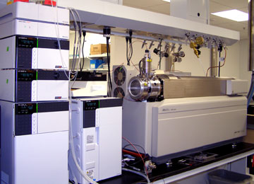 Metabolomics Facility | Center for Women's Infectious Disease Research